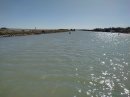 Ambiance Camargue à l'étang de l'Arnel